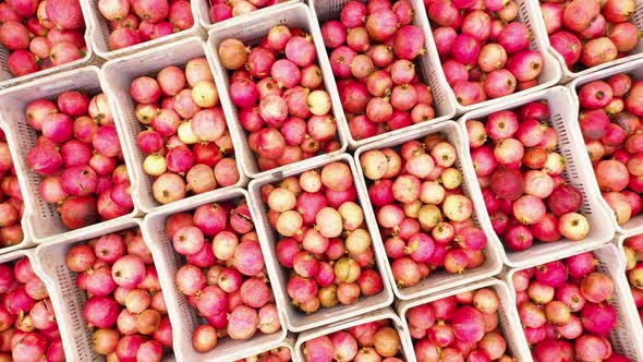 Lots of Boxes with Red Organic Fruits