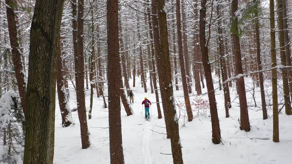 Splitboard and Ski touring Concept. Friends going Uphill in a line in the mountains forest woods