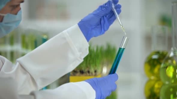 Scientist Adding Organic Oil in Tube With Blue Substance, Washing Agent Analysis