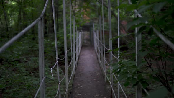 Passage Over the Bridge in the Middle of the Forest. First-person View