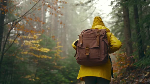 Slow Motion Footage Woman in Yellow Jacket Walks with Dog By Trail in Autumn Forest