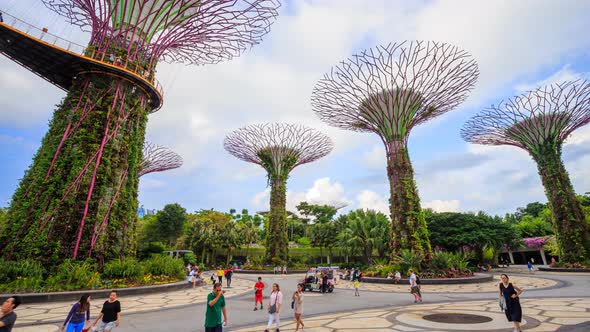 Time-lapse of tourist visited supertree of gardens by the bay at Singapore