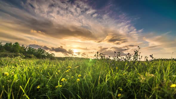 Grass Field At Sunset