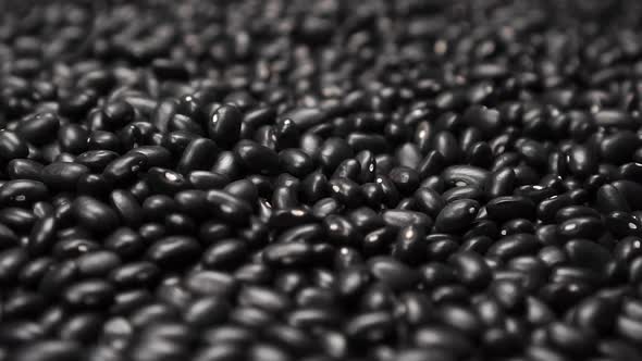 Black beans close up