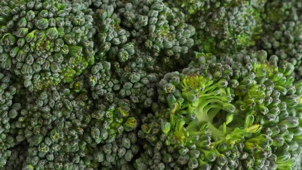 Fresh Green Broccoli Rotate