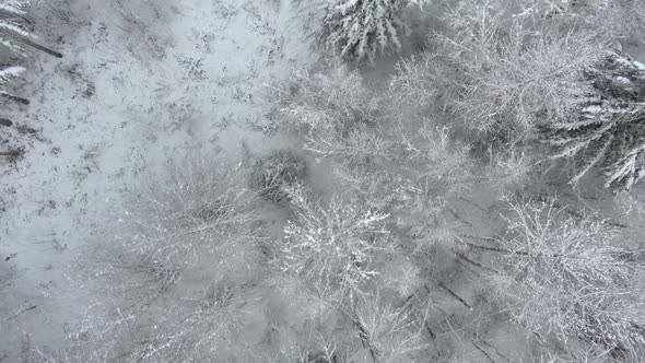 Ariel footage of snow covered landscapes.