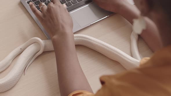 Black Woman Working on Laptop at Desk while White Snake Crawling