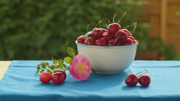 Ripe cherry in the bowl on the table