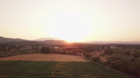 Aerial drone shot flying up showing a magnificent sunset over fields being watered. Tordera, Spain.