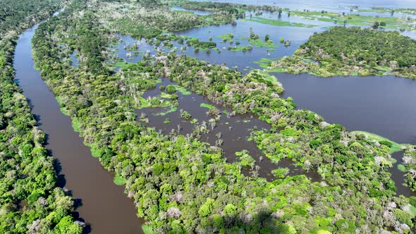 Stunning landscape of Amazon Forest at Amazonas State Brazil.