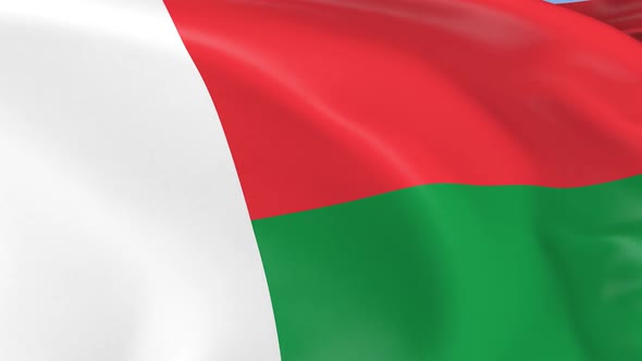 Malagasy Flag