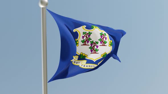 Connecticut flag on flagpole.