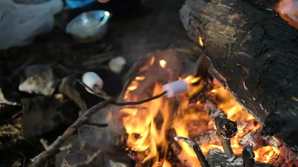 Marshmallow on a branch fried on a fire. Family camping in the forest.