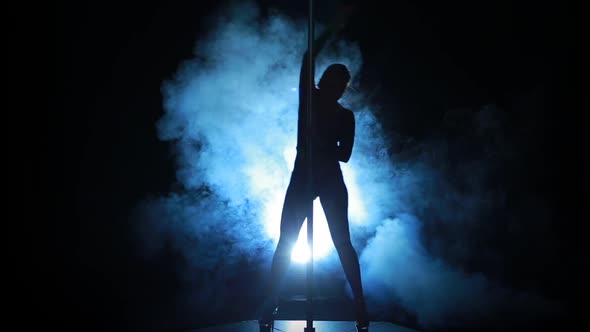 Silhouette of a Sexy Female Pole Dancing