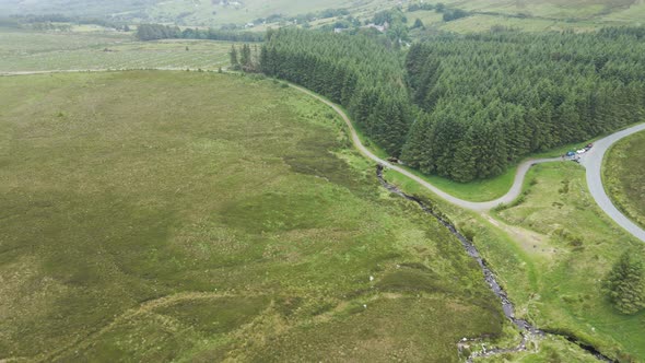 Spellbinding woods of Europe Wicklow Ireland aerial