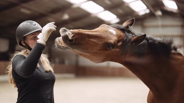 Woman In Riding Hat Feeding Horse From Hand In Paddock