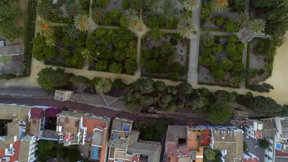 Rooftops, Gardens and Streets of Seville