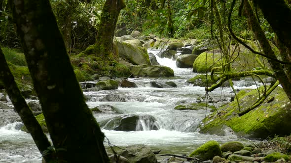 Cascading water fall through the dark tropical forest surrounded by mossy rocks and trees.