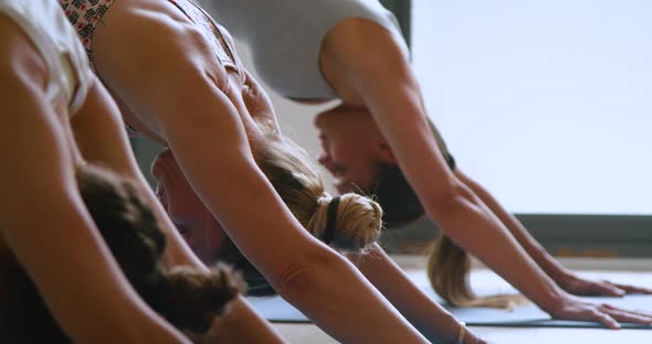 Calm female athletes practicing stretching asana doing yoga exercise