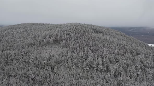 Frost covered trees on the peak of a hill with grey overcast skies AERIAL ORBIT