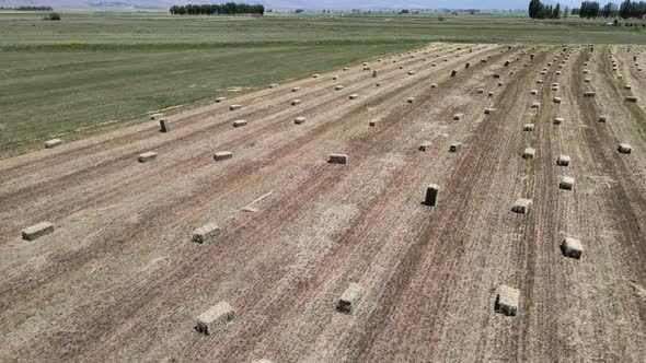 Aerial View of Straw Bales