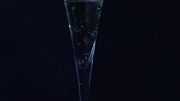 Champagne in an Elegant Glass