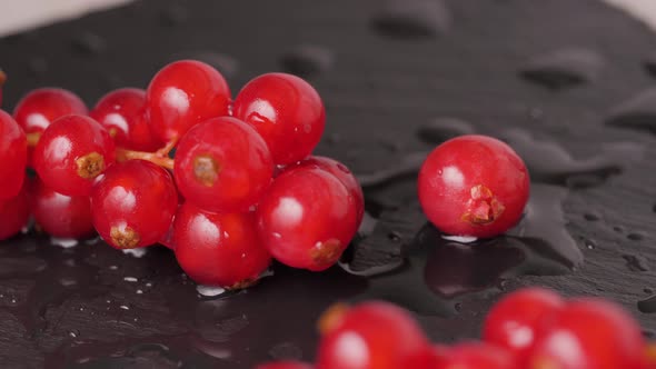 Red Currants Berry in Studio Macro Close Up Shot, Fresh Garden Berries Redcurrants