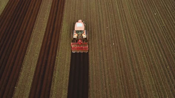 Tractor Cultivates the Land in the Field