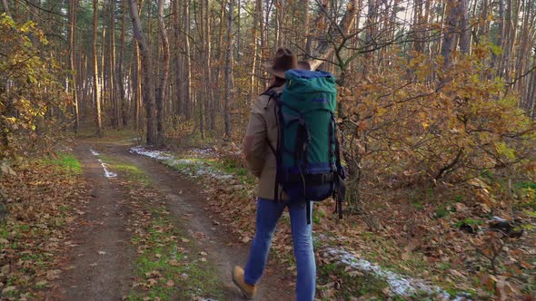 Backpacker Walks Along Trail Forest