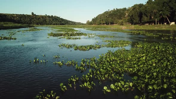 Drone shot flying low over a dark blue river in rural Brazil