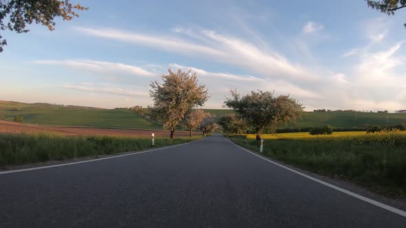 Car driving in evening spring rural countryside road on a sunny day.