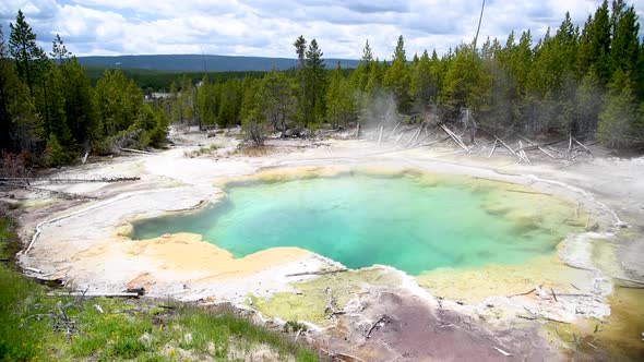 Hot Green Pool in Yellowstone National Park Wyoming USA