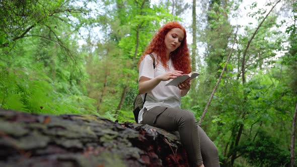 Girl Reading Book in Nature