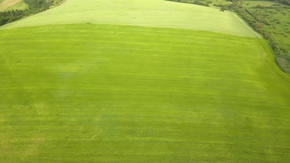 Aerial view of green agriculture fields in spring with fresh vegetation after seeding season.