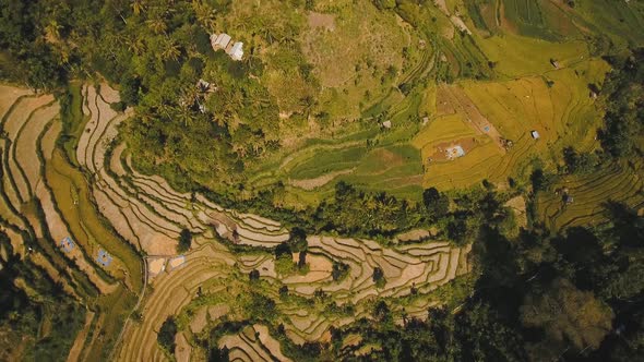 Mountain Landscape Farmlands and Village Bali Indonesia