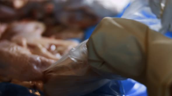 Macro View of Hands in Gloves Packing Chicken Legs From a Box Into Individual Plastic Bags