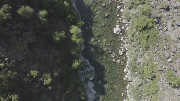 Slow drone flight over a rocky river surrounded by greenery