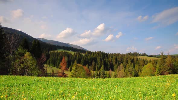 Time Lapse at Green Meadow