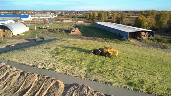 Upper View Tractor Tamps Harvested Silage in Large Pit