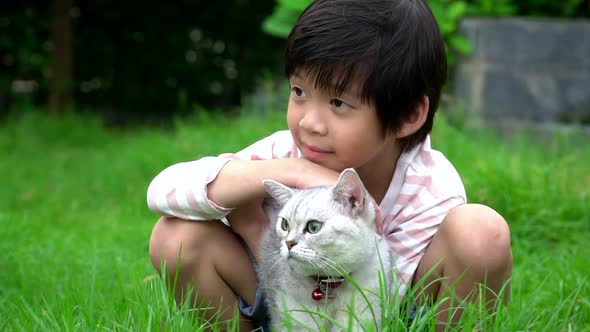 Cute Asian Child Playing With Scottish Cat In The Park