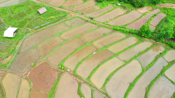 An aerial view over the beautiful rice terraces