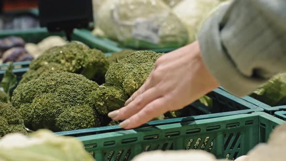 Female Hands of Woman Female Shopper Consumer Chooses Healthy Tasty Vegetables Take Green