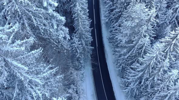 Narrow Concrete Highway Between Snowy Forest