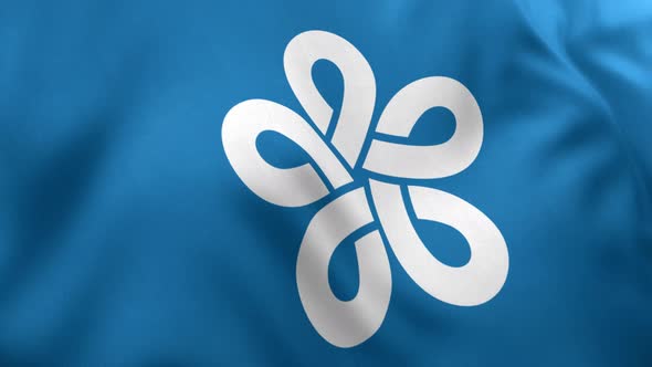 Fukuoka Prefecture Flag - 4K