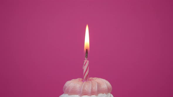 birthday cupcake with candles and birthday decorations on pink background