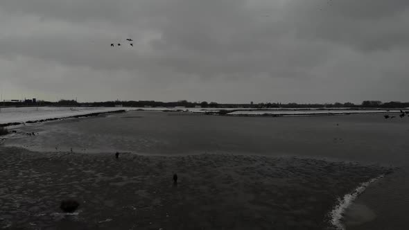 Flock Of Birds Flying Over Frozen River Under  Cloudy Sky With Snowy Field On The Background. aerial