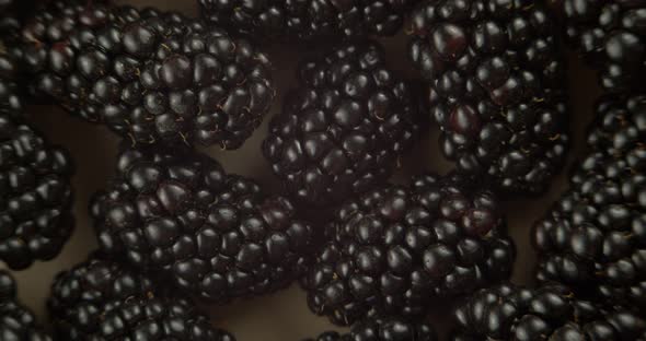 Ripe Blackberries on A Plate Rotate on A Black Background