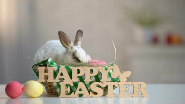 Wooden Sign Happy Easter and Colored Eggs on Table With Cute Bunny in Basket