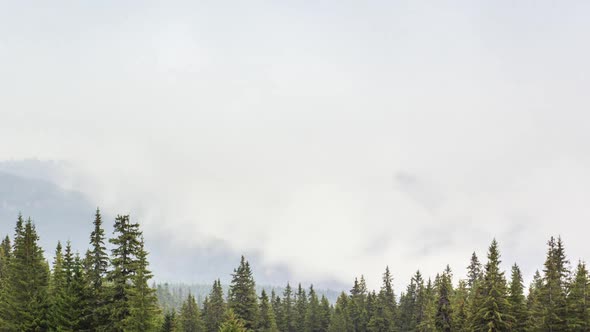 Morning Mist Over the Valley Among the Mountains in the Sunlight. Fog and Beautiful Nature of