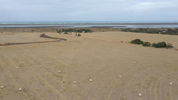 Aerial footage of rolled hay bales in an agricultural field in regional Australia